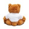 cute brown teddy bear plush with t shirt — “a good book” reading gift
