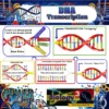 stage 1 biology 3 dna: encoded life activity power pace / science